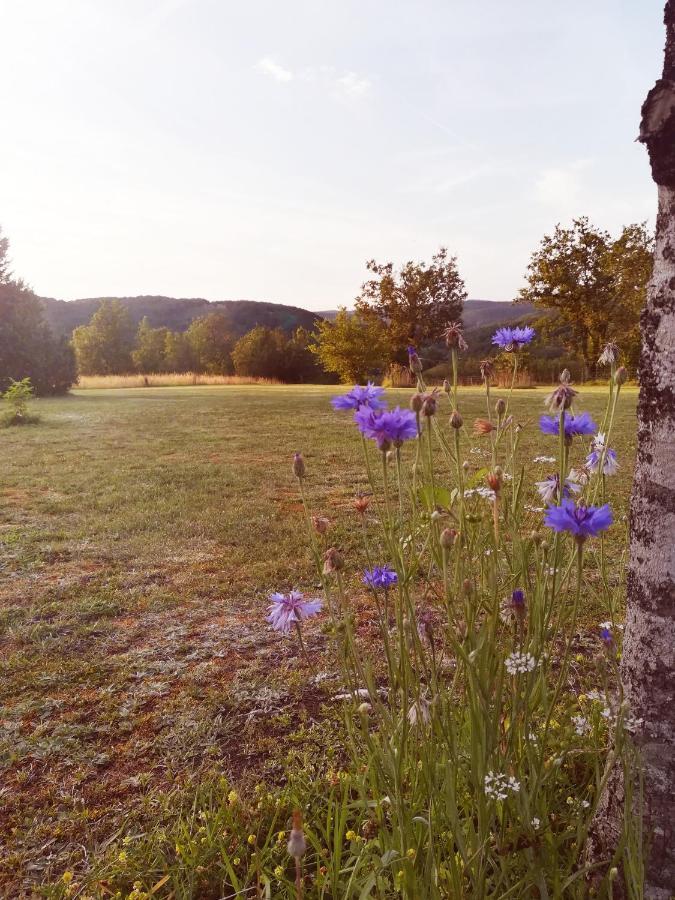 O Reve De Gabriel Bed and Breakfast Saint-Amand-de-Coly Exteriör bild